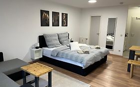 Studio An Der Elbe Mit Balkon, Kueche Und Netflix
